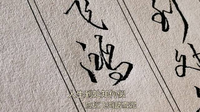 “人生到处知何似，应似飞鸿踏雪泥”_新浪新闻