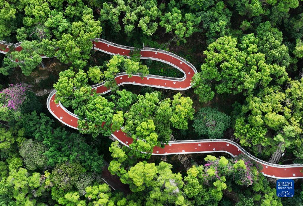 福州:打造慢行步道系统 提升居民幸福感|福建省|福州市_新浪新闻