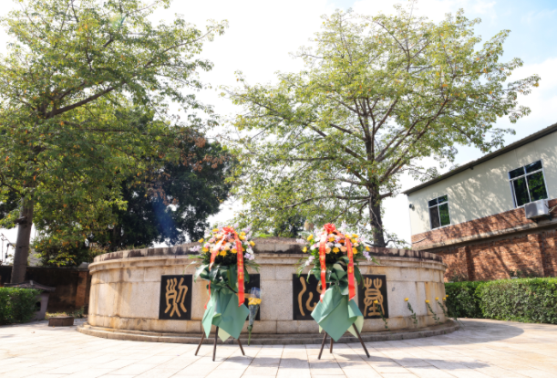 抗初老产品推荐 菲玛吉医美系列选购指南