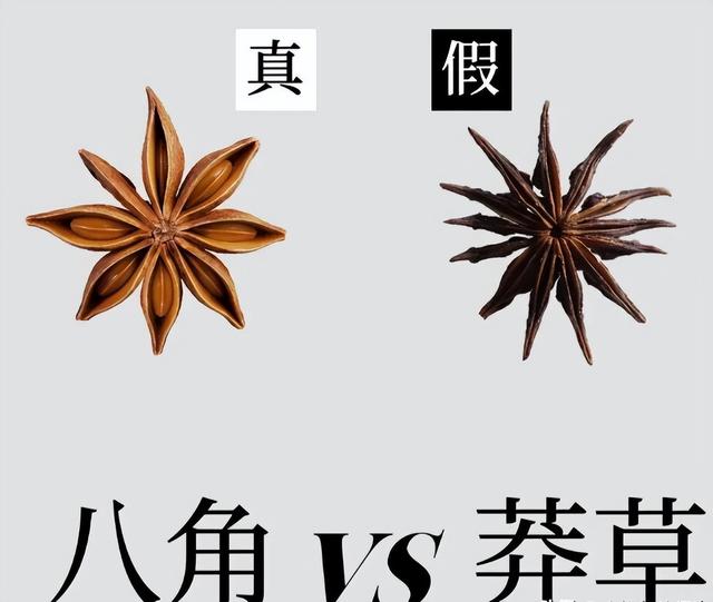 其实,八角也是分真假的,假的八角和真八角长得极其相似,宛如双胞胎