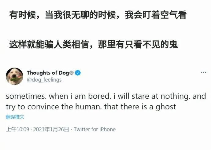 小狗勾能有什么坏心思呢？这些狗狗的内心戏太可爱了！