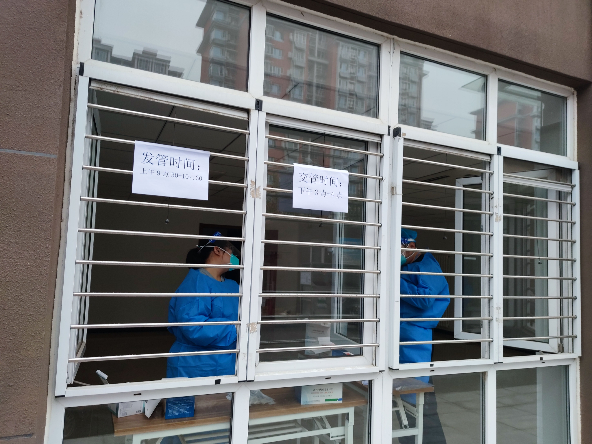 北京丰台，一处核酸自采物资取样窗口内，工作人员正在忙碌。  新京报记者 王景曦 摄