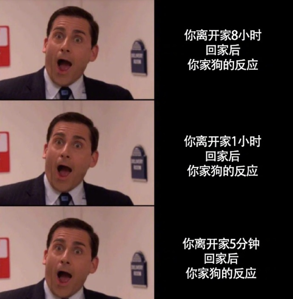 小狗勾能有什么坏心思呢？这些狗狗的内心戏太可爱了！