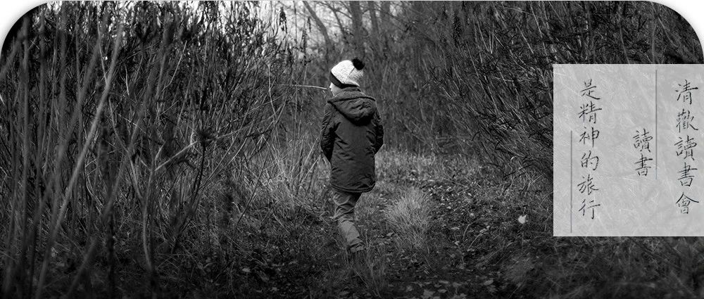 离奇工作经历 短视频SEO怎么做