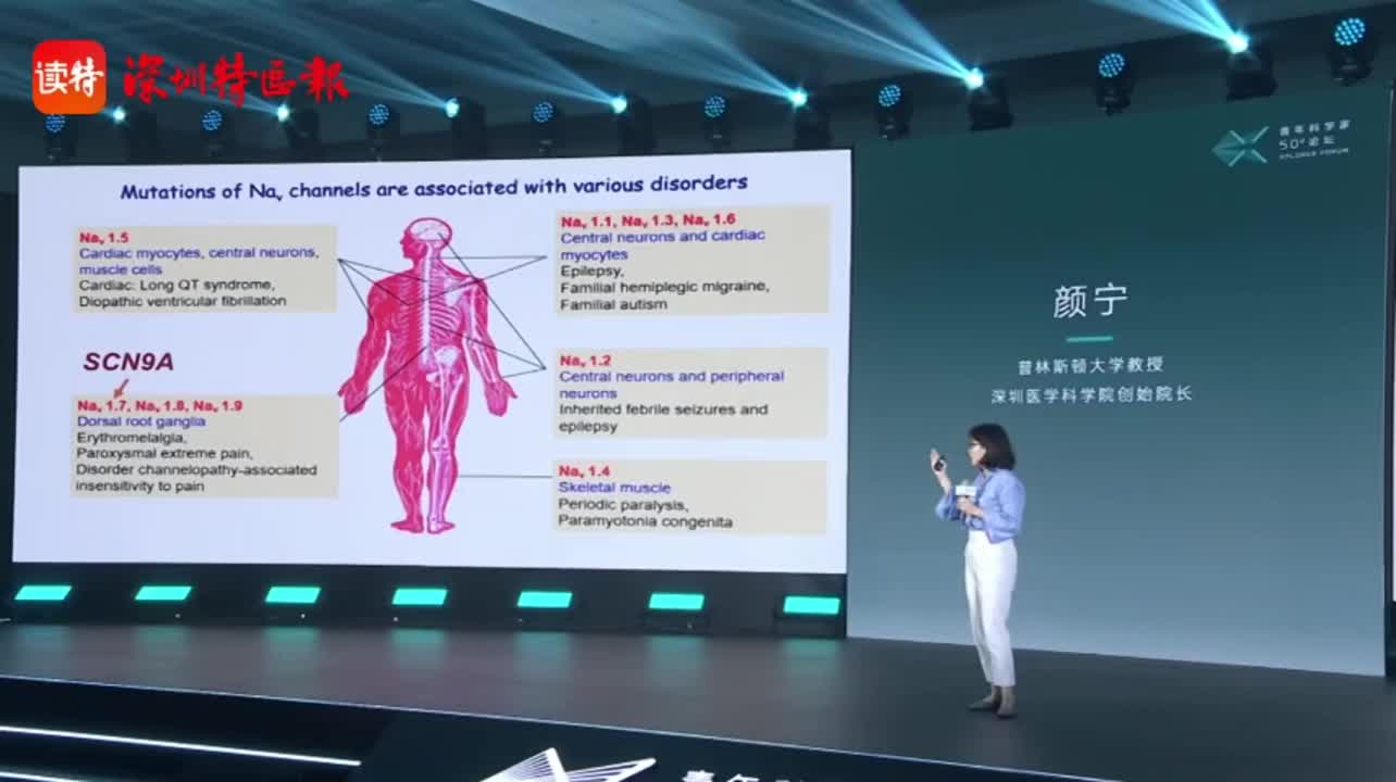 最新!颜宁在“青年科学家50²论坛”上发表AI演讲:很快我们的深圳医学科学院就会问世|医学|颜宁|深圳市_新浪新闻