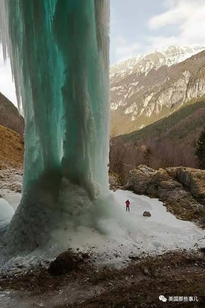 一波触发巨物恐惧症的照片,让人头皮发麻,但忍不住想看__财经头条