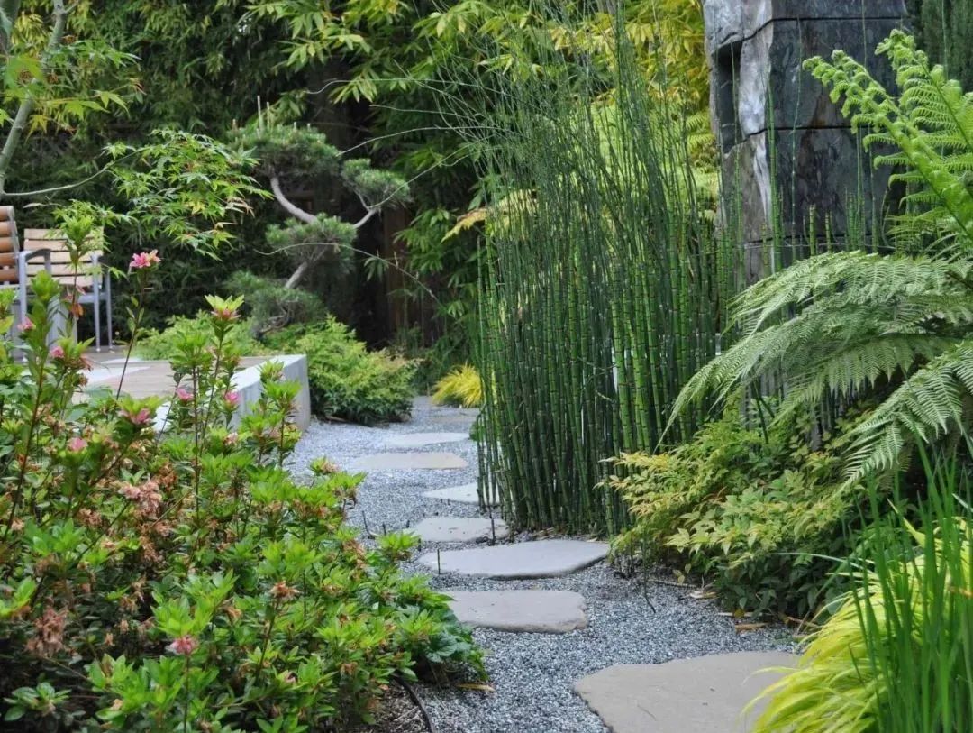 庭院也能有茂林修竹,种一片清幽秀丽__财经头条