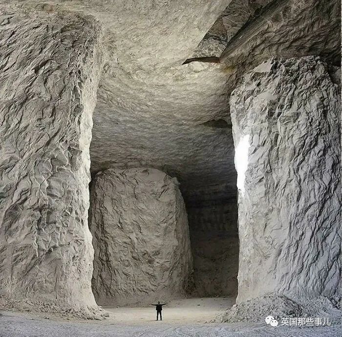 一波触发巨物恐惧症的照片,让人头皮发麻,但忍不住想看__财经头条