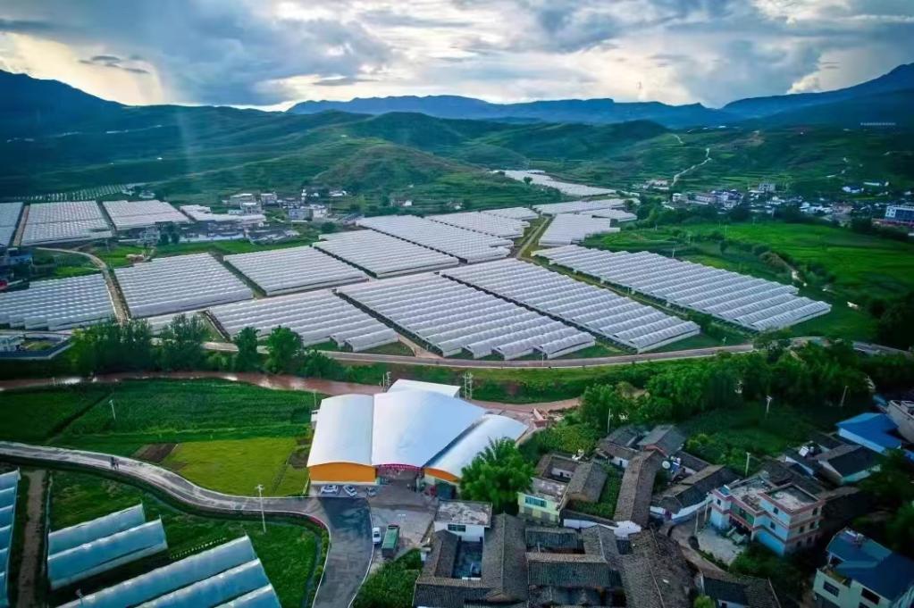 (会东县交通运输局供图)