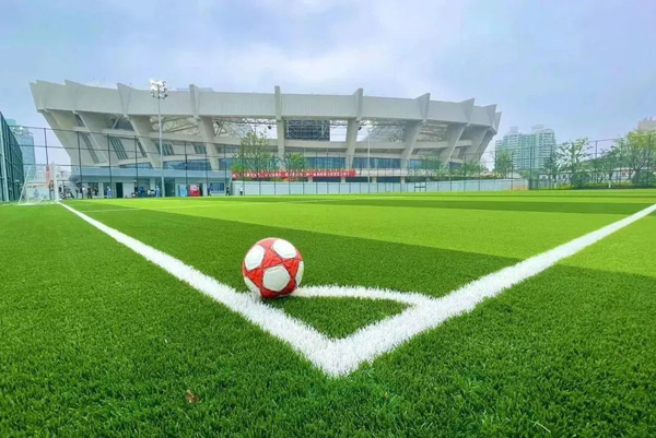 球场上的默契搭档场下的兄弟情深