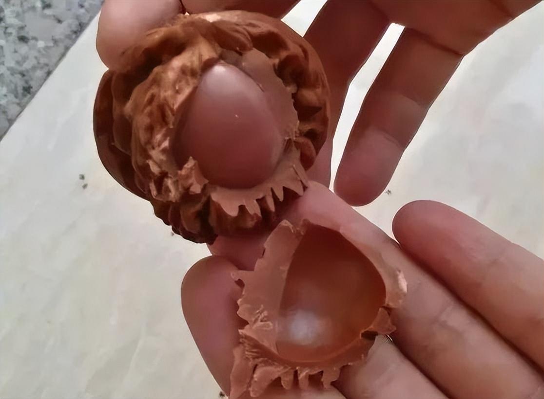 居然开青皮都能开出树脂核桃来.