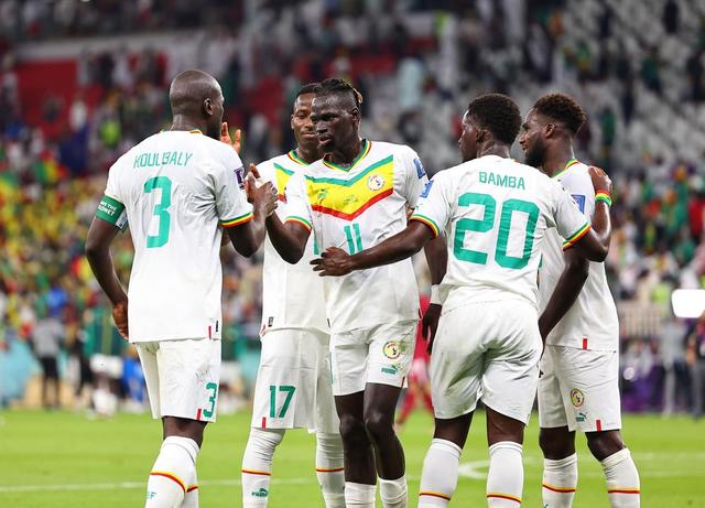 非洲冠军vs南美劲旅 a组这场生死战有看头|厄瓜多尔队_新浪财经_新浪