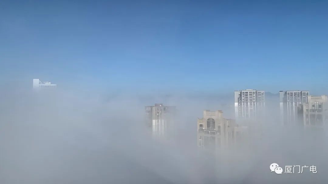 能见度低于200米!今日,厦门大雾!原因是……