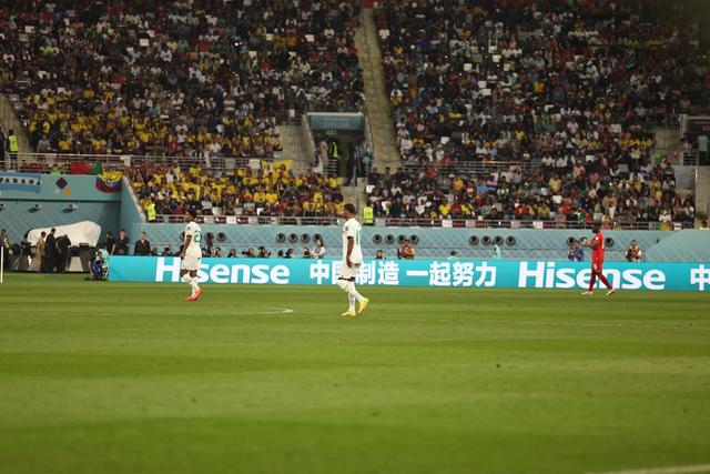 2-0!2-1!世界杯太刺激:2场5球,出线4次反转,荷兰夺第1|荷兰|厄瓜多尔|塞内加尔