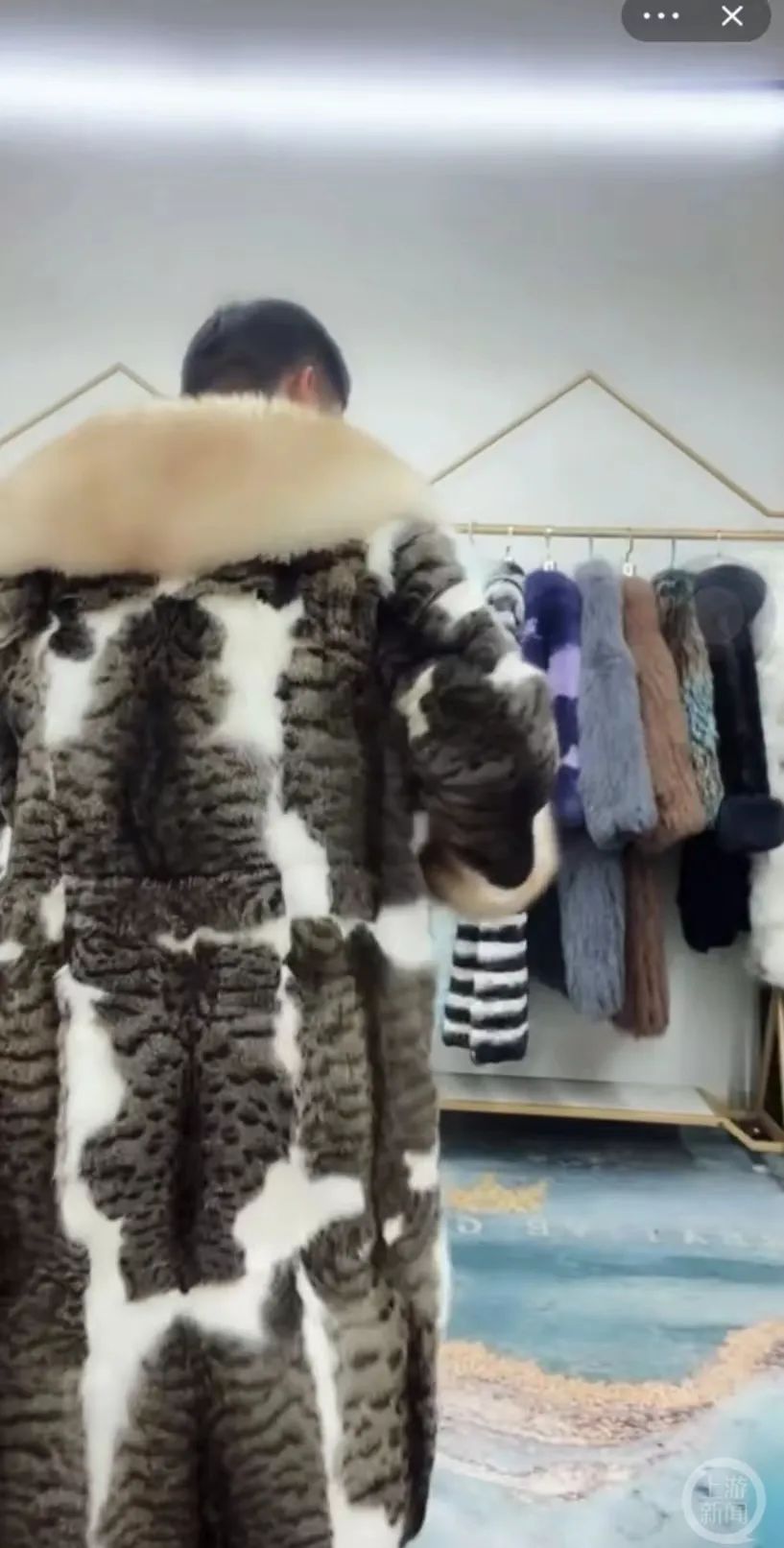 主播带货"猫皮大衣",执法部门:不违法|主播_新浪财经_新浪网