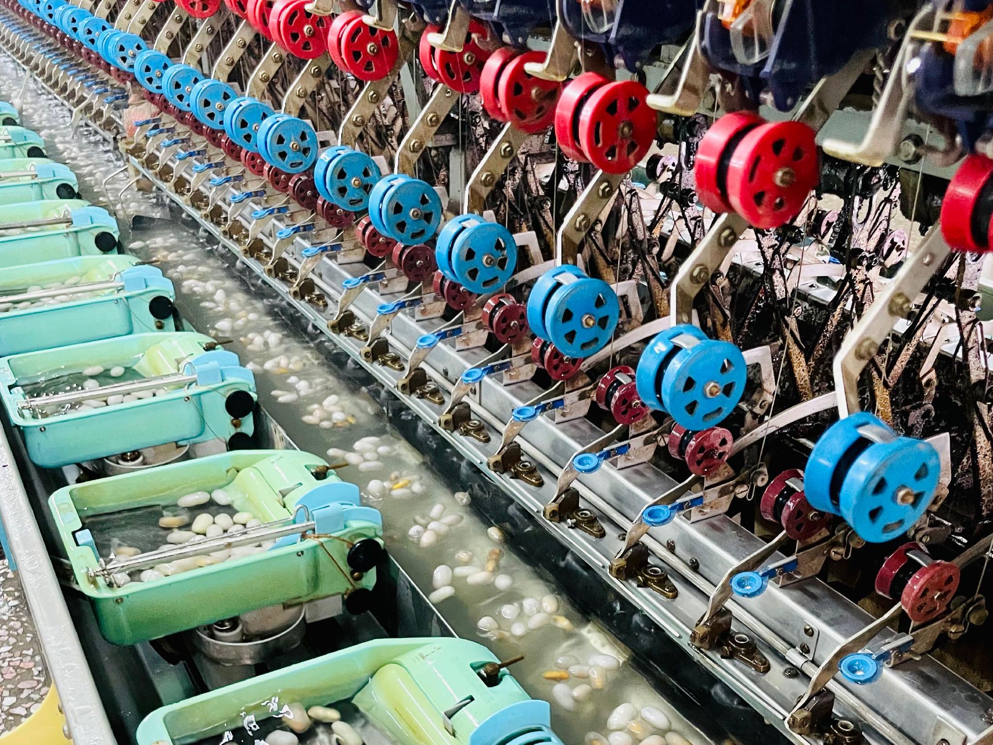 位于河池市宜州区的广西嘉联丝绸股份有限公司的缫丝车间内,机器轰鸣