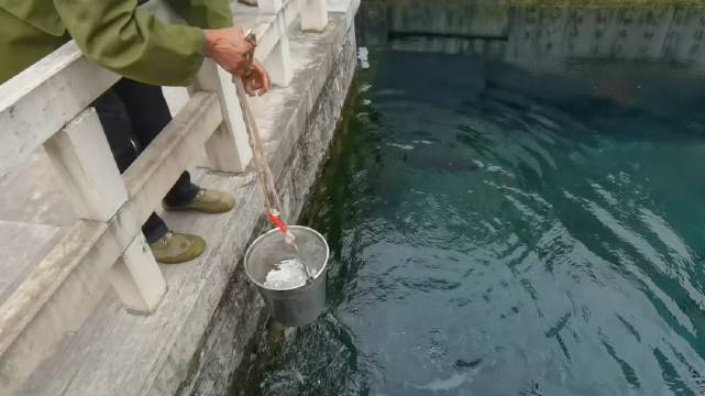 山东安丘有一个雹泉,一拍手就会冒出珍珠一样的泡泡