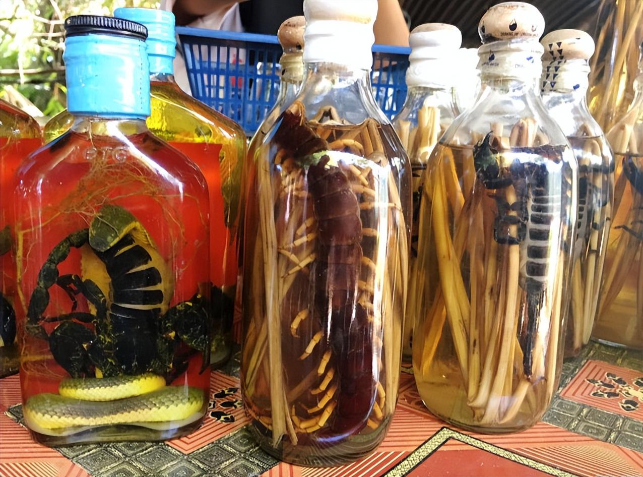 自泡"药酒"可以养生,但容易犯5个错,望你搞清楚再喝|药酒|药材|药性