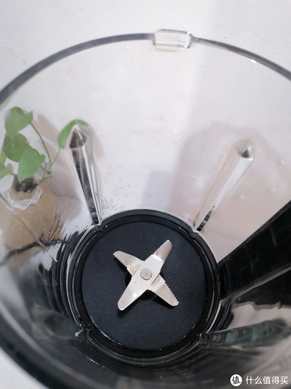 料理机工作的声音都这么大的吗？还是说我选错品牌了呢？休闲区蓝鸢梦想 - Www.slyday.coM