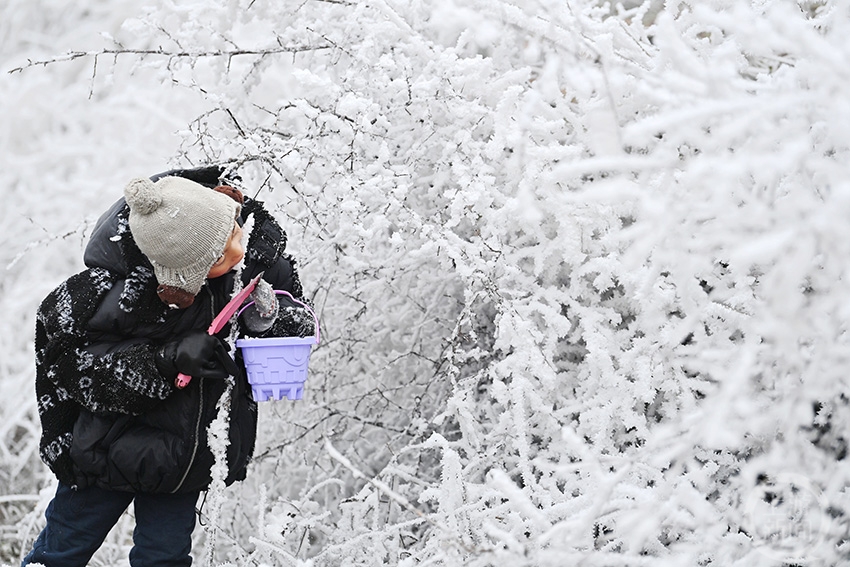 重庆酉阳迎来入冬以来第一场雪 财经头条