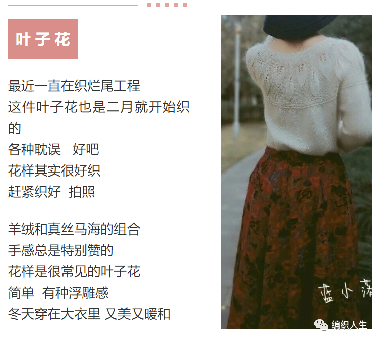 附详细教程,叶子花:浮雕感花样圆肩毛衣(有编织图解)__财经头条