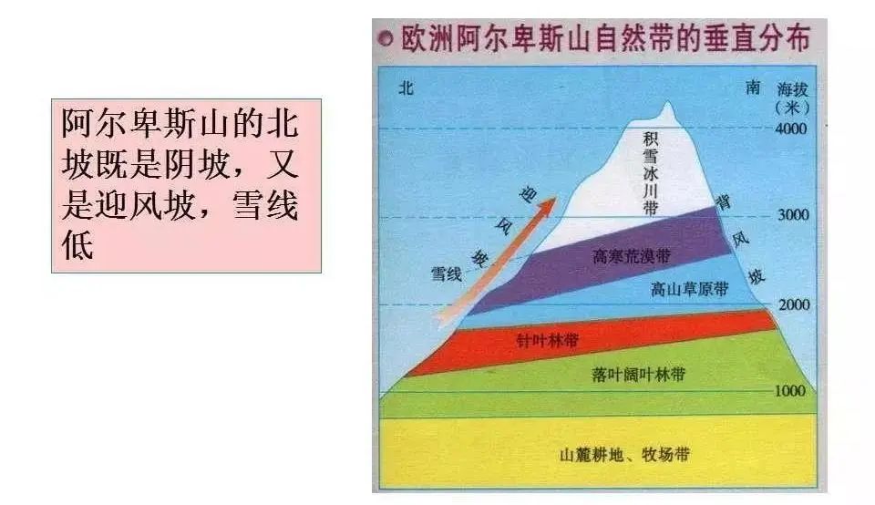 【高考地理】如何突破高考题里的雪线和林线?中国各种地理分界线!各种奇特的国界线