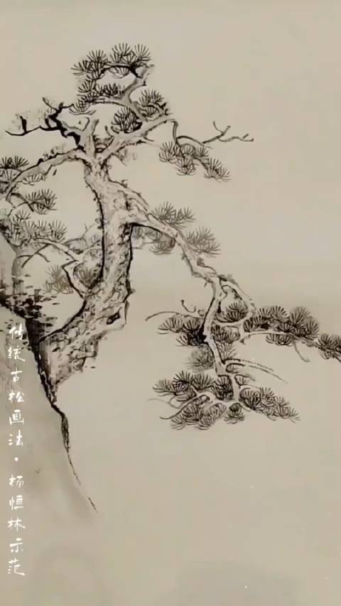 传统古松•技法|画家_新浪新闻