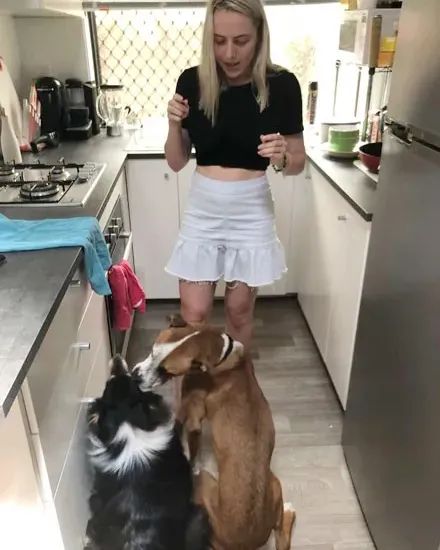 带狗狗去女朋友家玩,它却把家都拆了 带狗狗去女朋友家玩,它却把家都拆了
