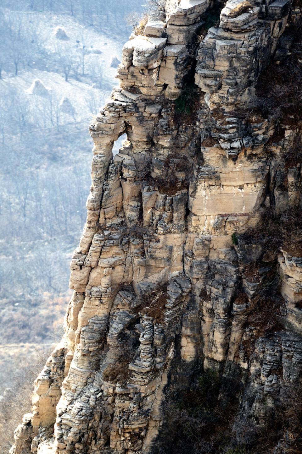 青未了丨黑峪顶记事|黑峪|大岭|兴济河_新浪新闻