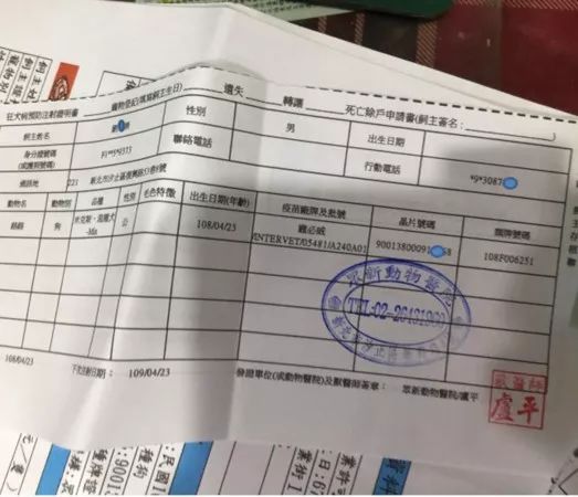 养33只狗被投诉，工作人员进屋后震惊：这也太舒适了吧！休闲区蓝鸢梦想 - Www.slyday.coM