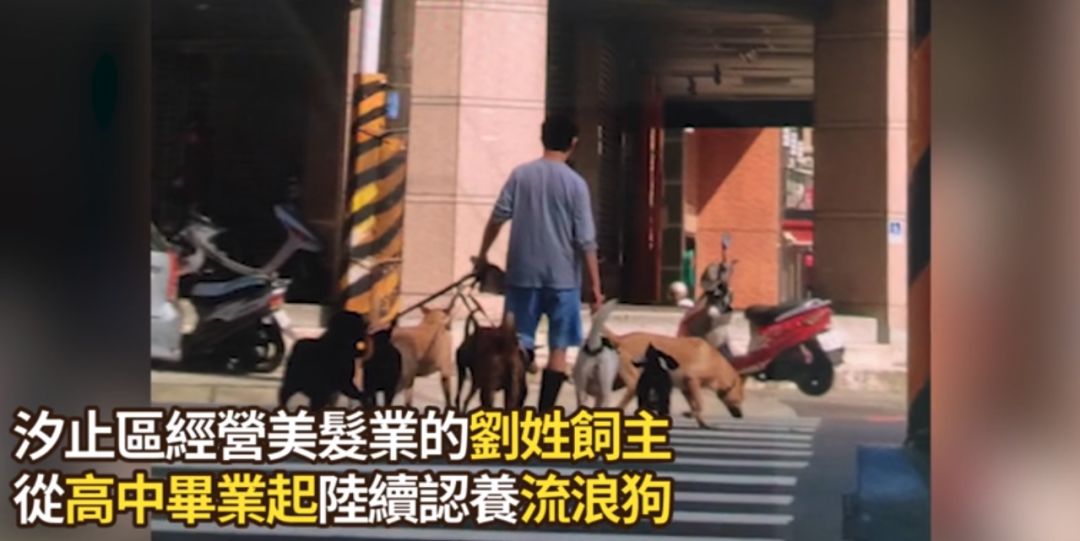 养33只狗被投诉，工作人员进屋后震惊：这也太舒适了吧！休闲区蓝鸢梦想 - Www.slyday.coM