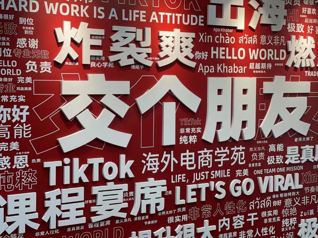 交个朋友入局tik tok,开启海外赚钱模式,明年目标1个亿__财经头条