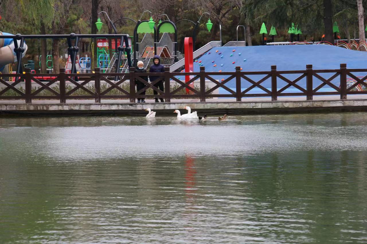 这就是淄博丨感受冬日里的清幽之美休闲区蓝鸢梦想 - Www.slyday.coM