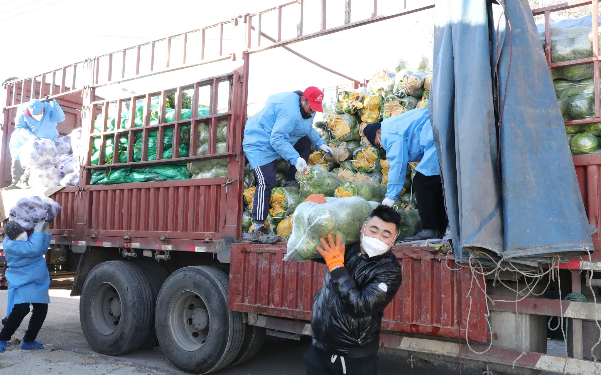 运输蔬菜的大货车抵达高丽营镇五村.李在滨 摄