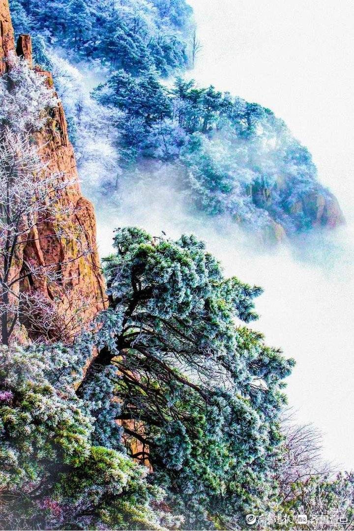 摄影作品:一组泰山冬天的美图|摄影_新浪新闻