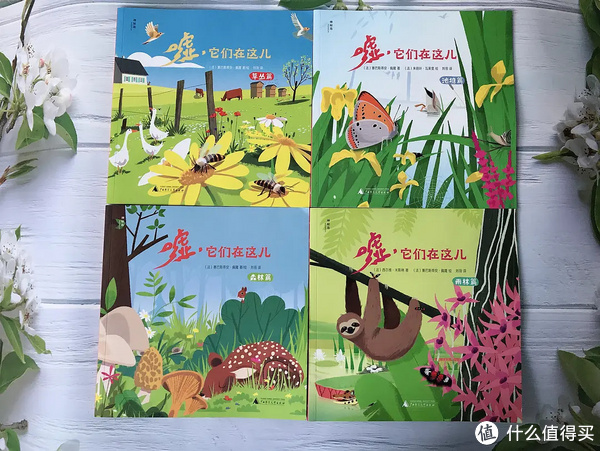 有颜有料有趣的轻科普，带你领略自然之美|绘本_新浪新闻