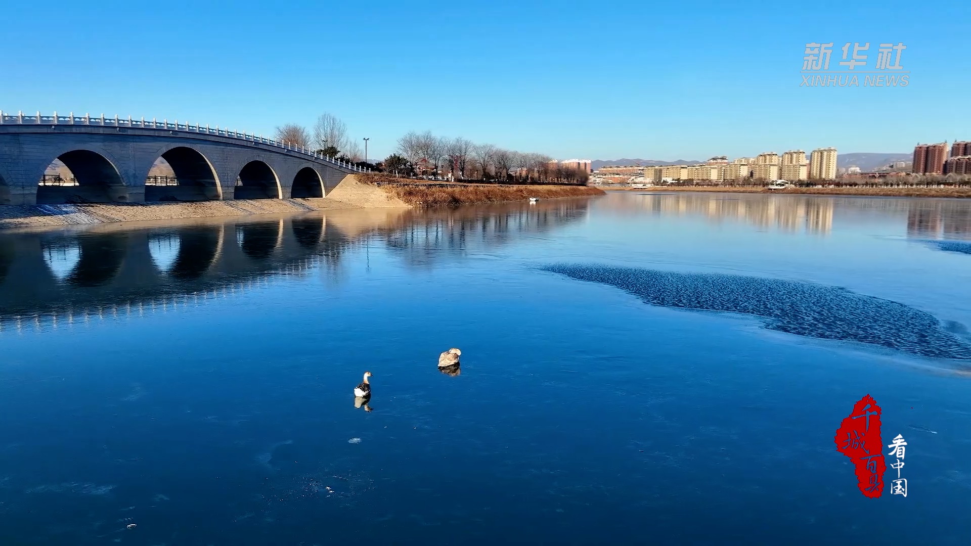 千城百县看中国|河北保定:冬日涞源湖|中国|保定市|白鹭_新浪新闻