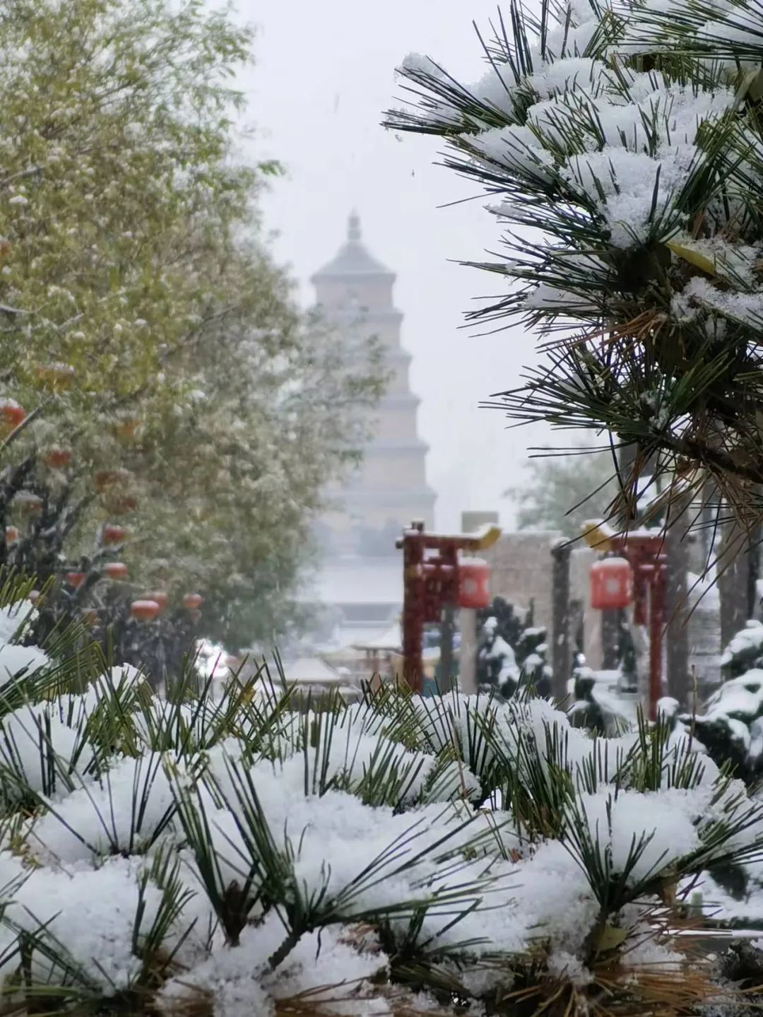 西安独家雪景壁纸请收藏__财经头条