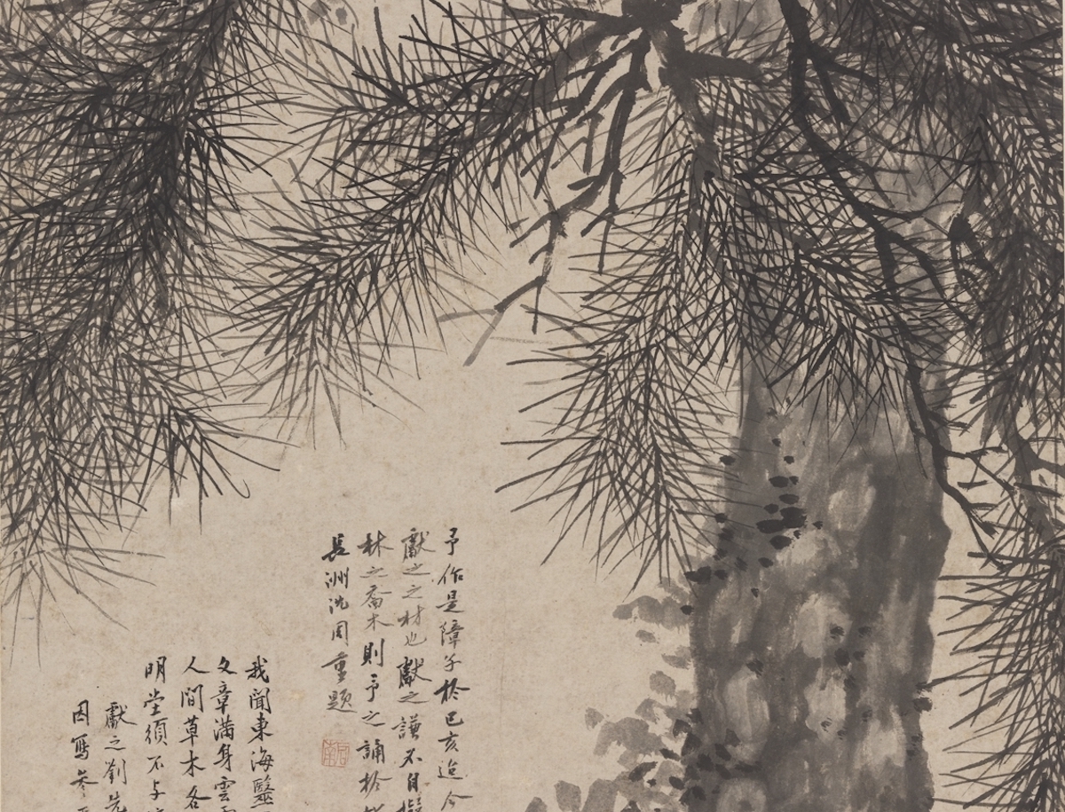 明 沈周 参天特秀 轴(局部) 台北故宫博物院藏辽阳刘献之来吴,与沈周