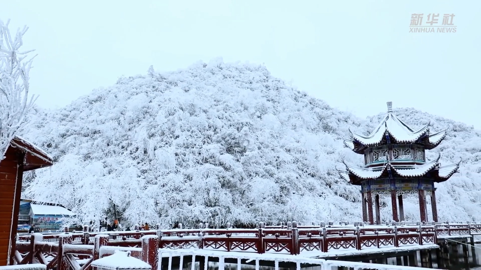 湖南阳明山:冬雪雾凇美|森林公园|雾凇|阳明山_新浪新闻