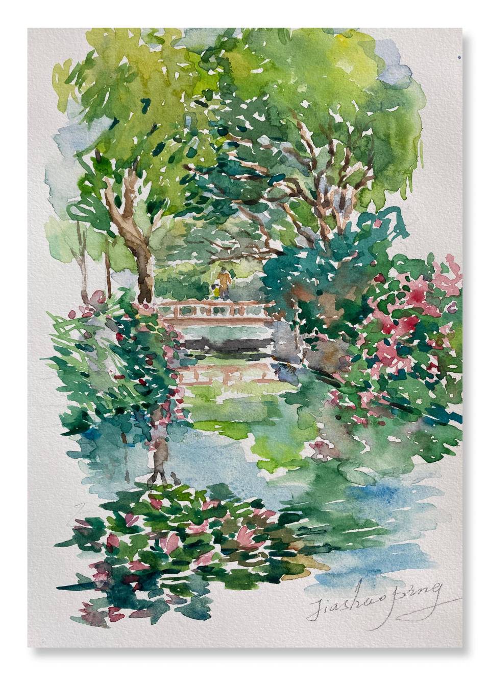 人间草木贾绍萍轻水彩新作