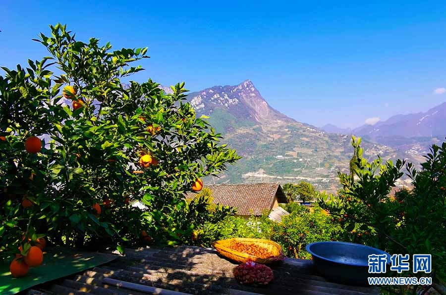 湖北秭归西陵峡村初冬美