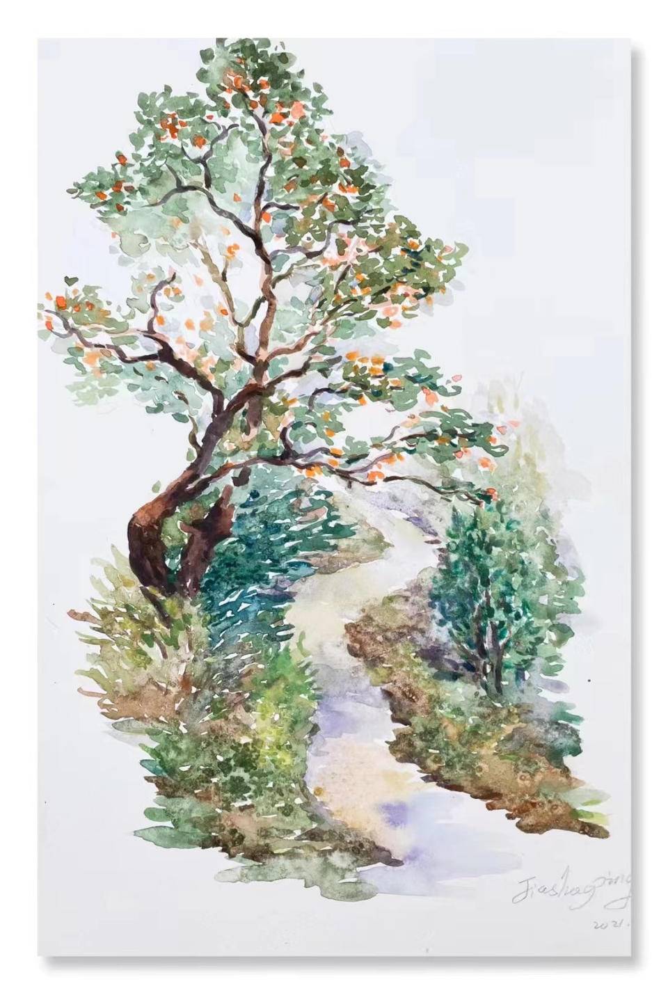 人间草木贾绍萍轻水彩新作