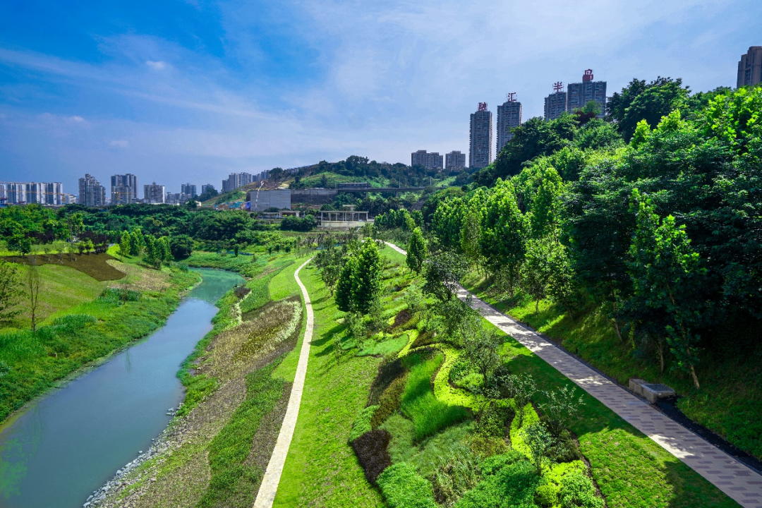 花溪河"清水绿岸"治理提升实景图