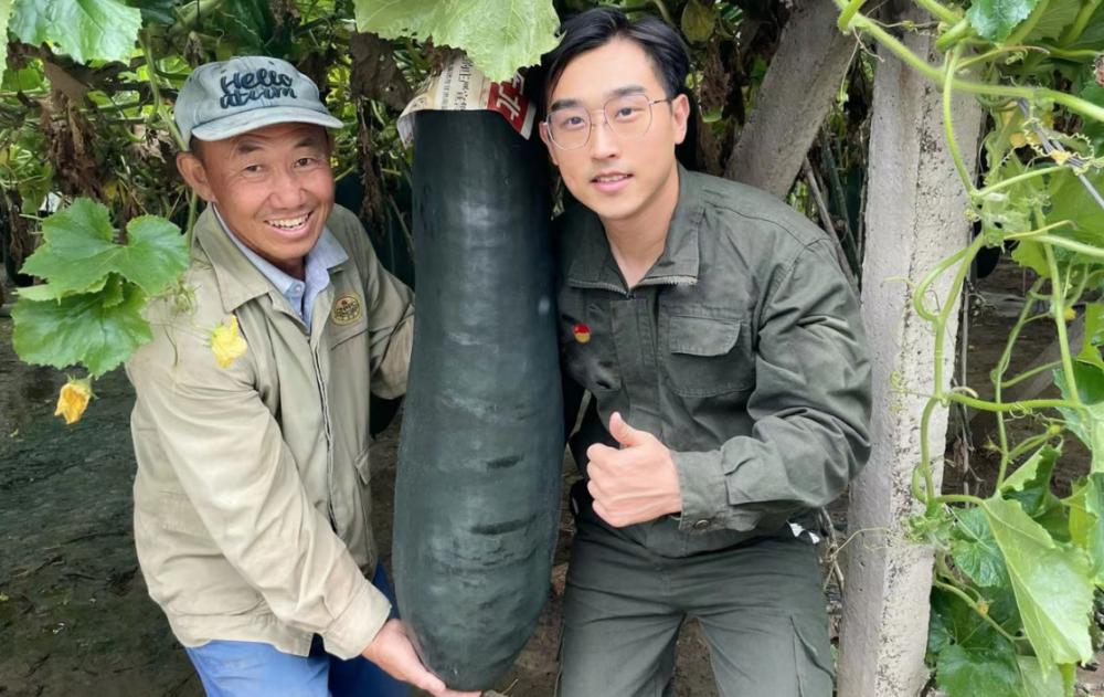 ▲佟庄冬瓜丰产“小刘书记”（图右）与村民在冬瓜地/图源 施安
