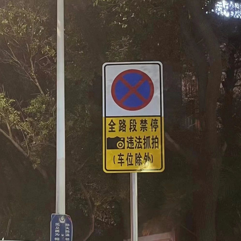 新增电子警察、违停抓拍！常经过城区这些路段的注意|警察|东莞市_新浪新闻