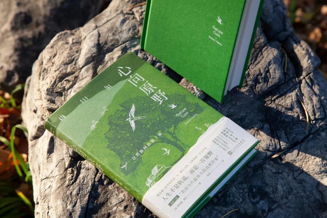 人生不是轨道,而是一片原野 |《心向原野》|雨燕|心向原野_新浪新闻