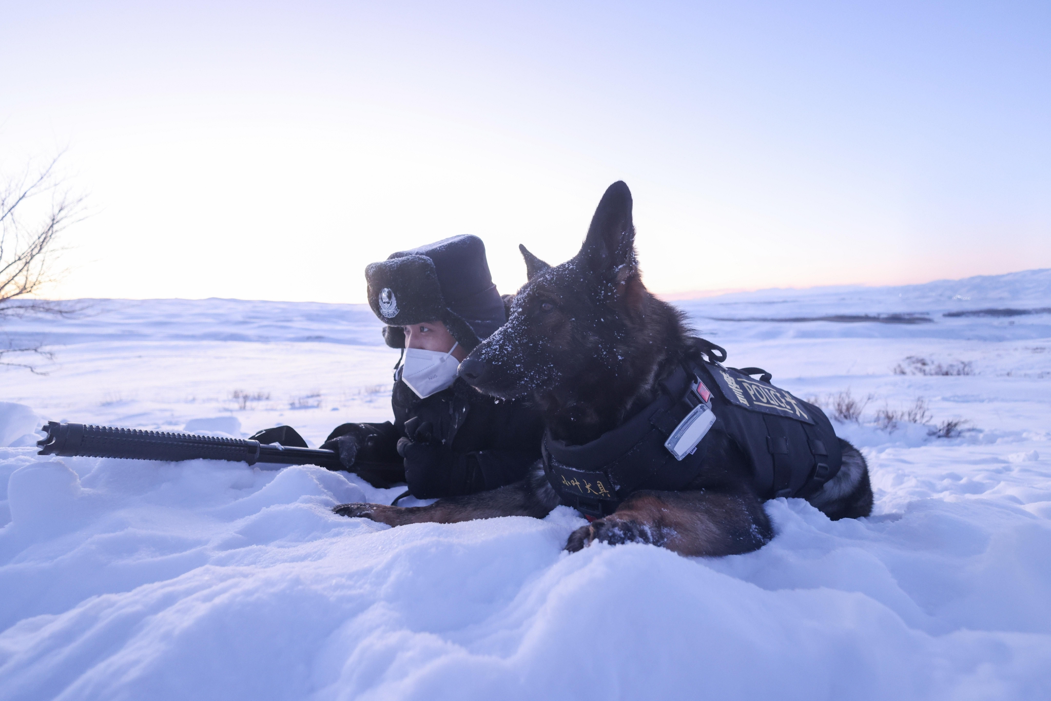 为适应严寒天气,新疆阿西尔边境派出所开展警犬冬季训练