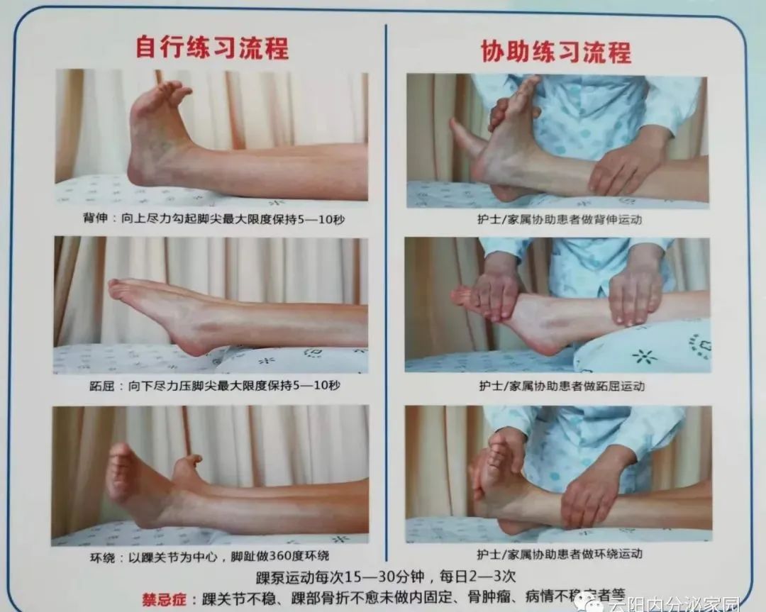 伸直抬高,屈膝,伸直,落下,可单侧分开进行,每次15组,次数不限踝泵运动