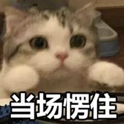 当你叫南大，我也叫南大。哈哈哈哈哈笑死啦！休闲区蓝鸢梦想 - Www.slyday.coM